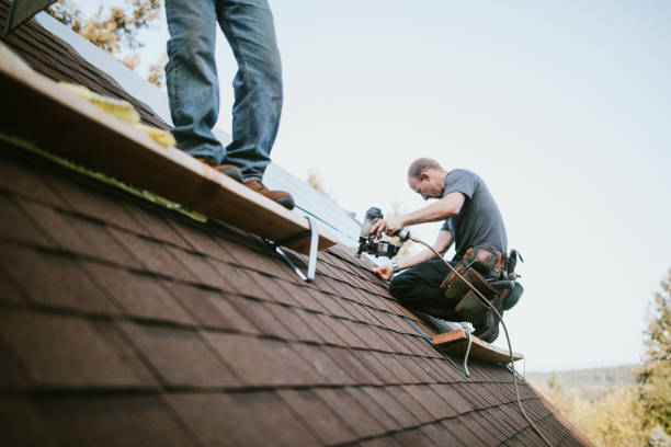 Best Roof Repair Services  in Fredericktown, MO